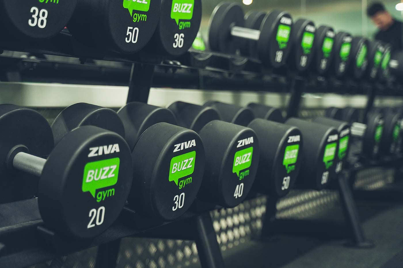 Gallery Buzz Gym Gallery Buzz Gym