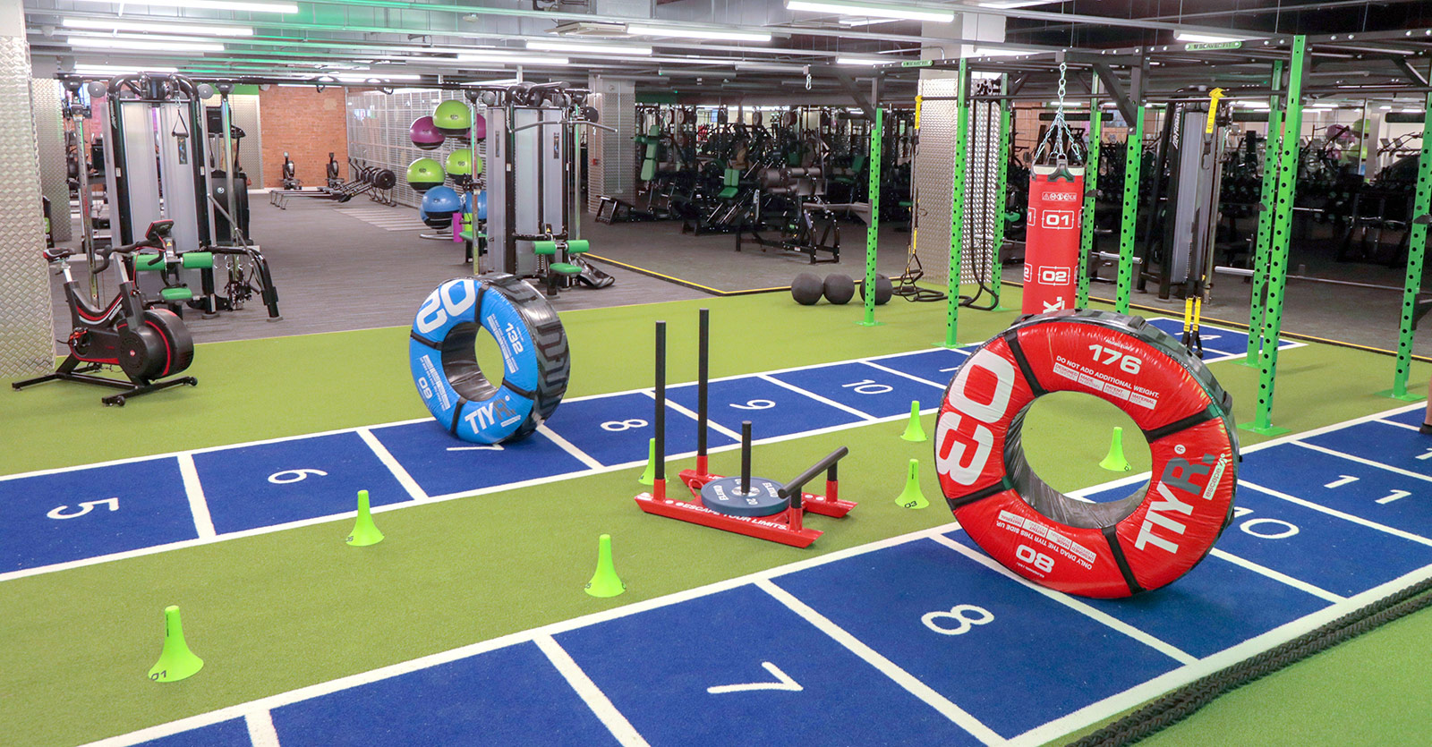 Best Equipment Buzz Gym