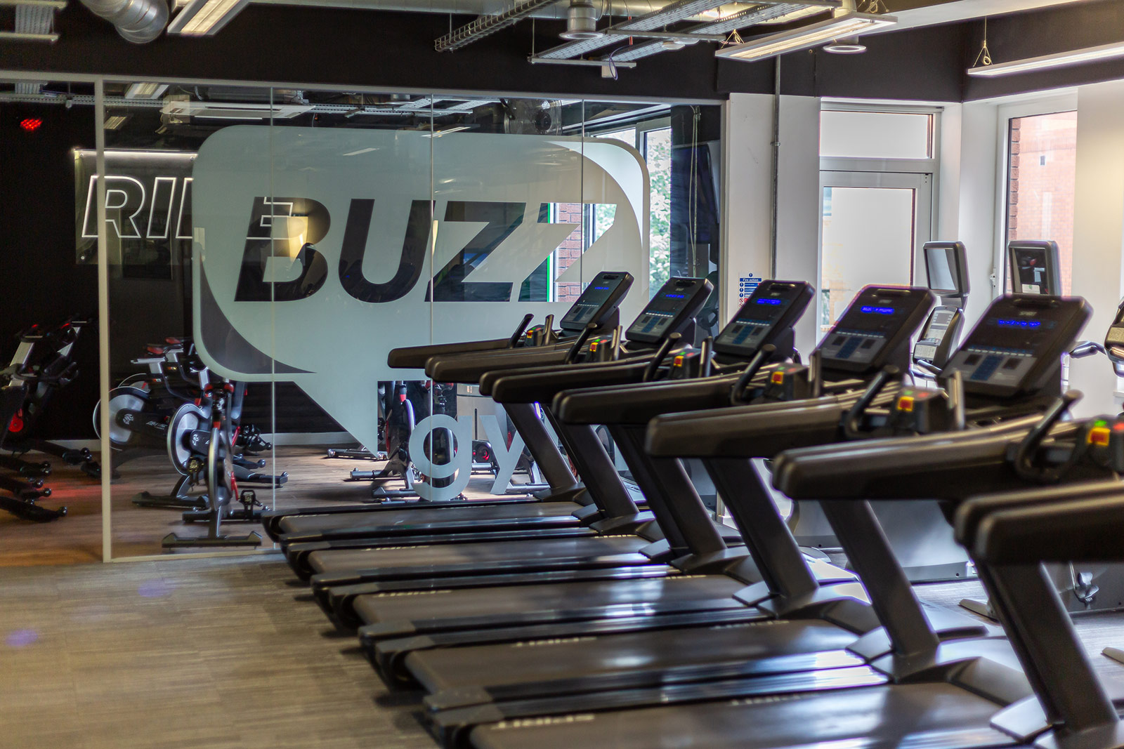 buzz gym tour